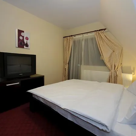 Hotel Vila Restaurant Transilvania Zarnesti