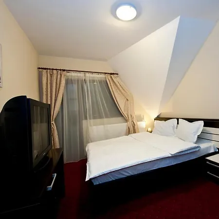 Vila Restaurant Transilvania 3*
