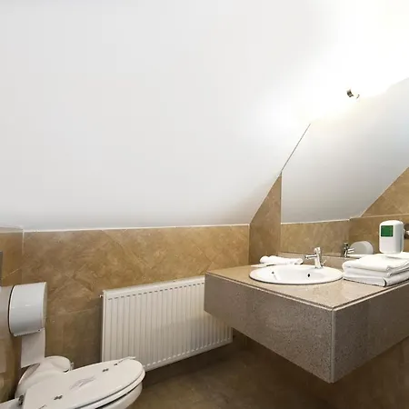 Vila Restaurant Transilvania Hotel 3*