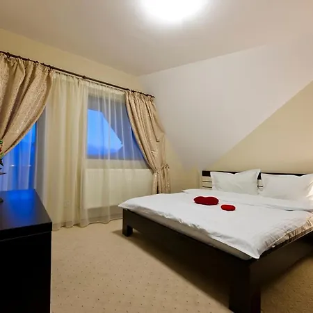 Hotel Vila Restaurant Transilvania 3*